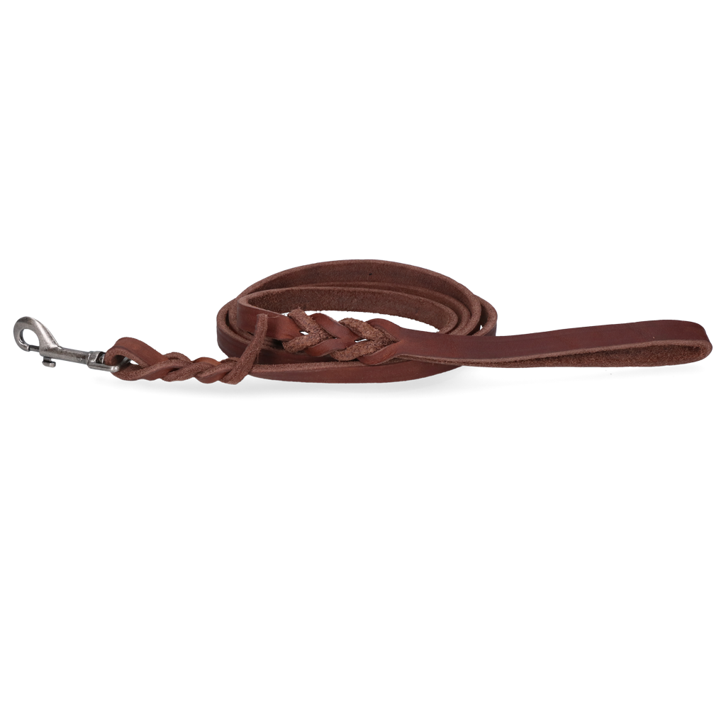 Spotted! Pro Leder Führleine Braun 1,2 x 180cm (Bolzenhaken) *