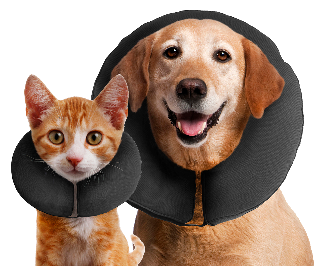 Zenpet ProCollar M *