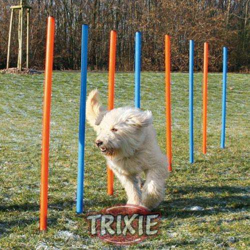 Hunde Agility & Training *