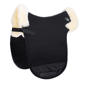 CHAMP D 1/4 RAND Warmblut Für Dressursättel *