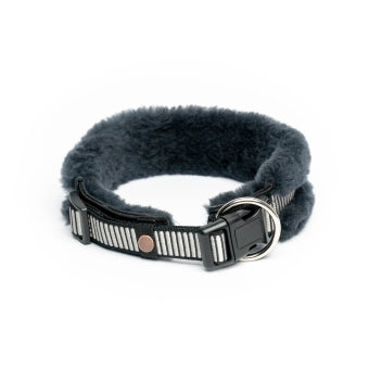 CHRIS - HUNDEHALSBAND Kein Haarbruch mehr *