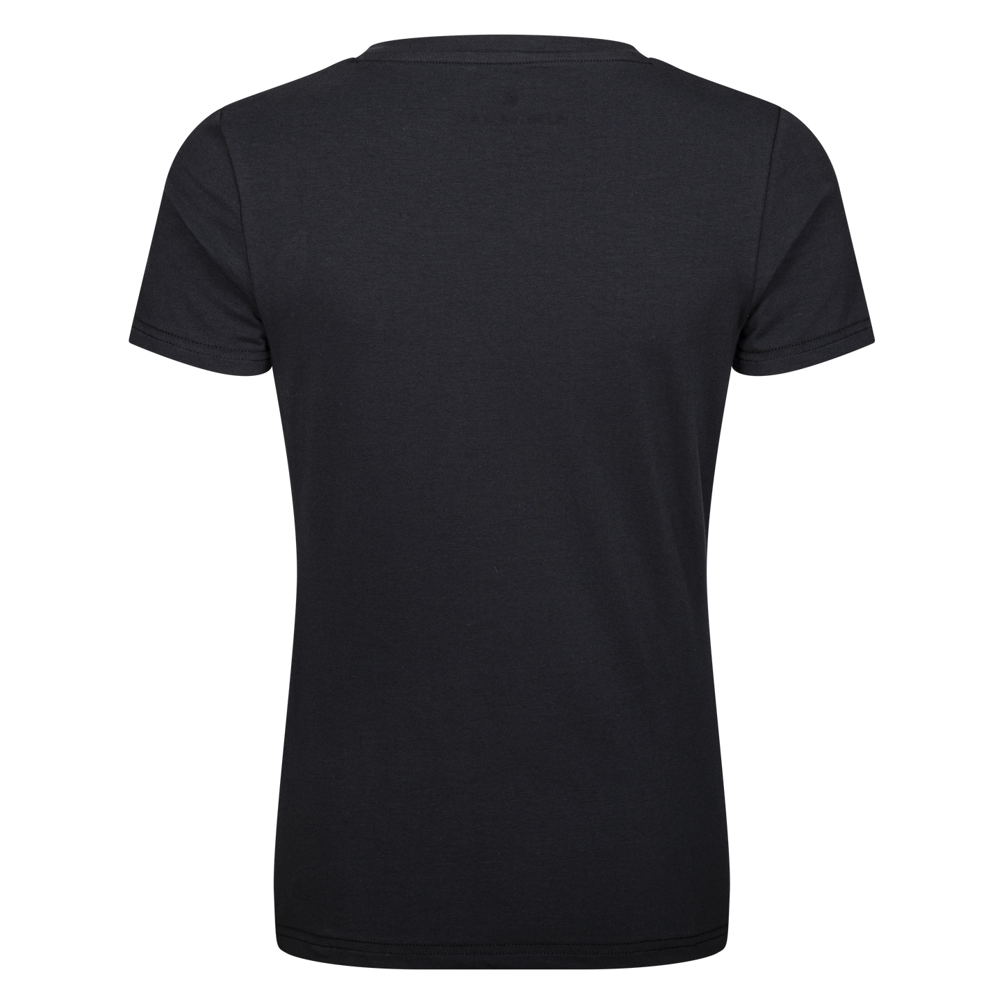 Classic Ladies T-Shirt *