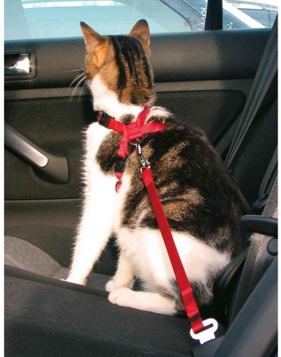 Trixie Sicherheitsgurt für Katzen