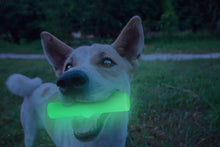 Leuchtender Tracking Bone *