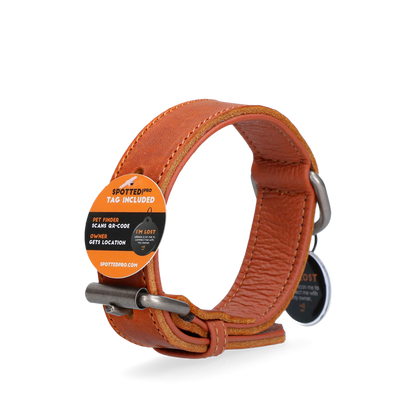 Spotted! Pro Lederhalsband Cognac 2,5x40cm *