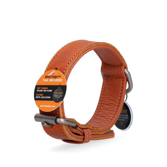 Spotted! Pro Lederhalsband Cognac 2,5x40cm *