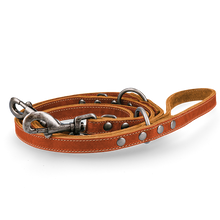 Spotted! Pro Leder Trainingsleine Cognac 2x250cm *