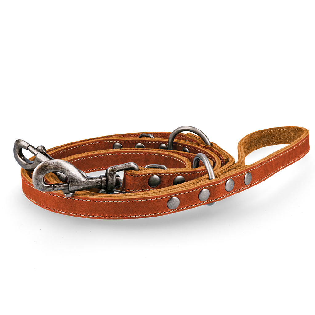 Spotted! Pro Leder Trainingsleine Cognac 2x250cm *