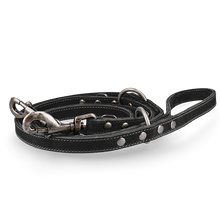 Spotted! Pro Leder Trainingsleine Schwarz 1,6x250cm *