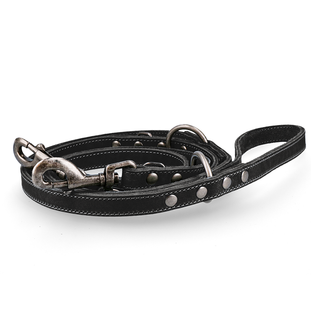 Spotted! Pro Leder Trainingsleine Schwarz 1,6x250cm *