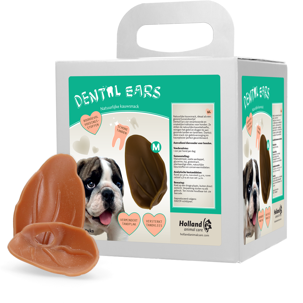 Dental Ears Medium *