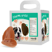 Dental Ears Medium *