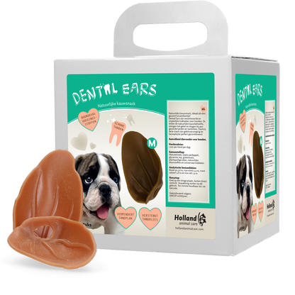 Dental Ears Medium *