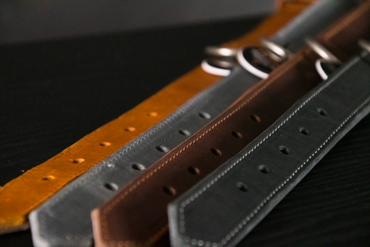 Spotted! Pro Lederhalsband Braun 2,5x40cm *
