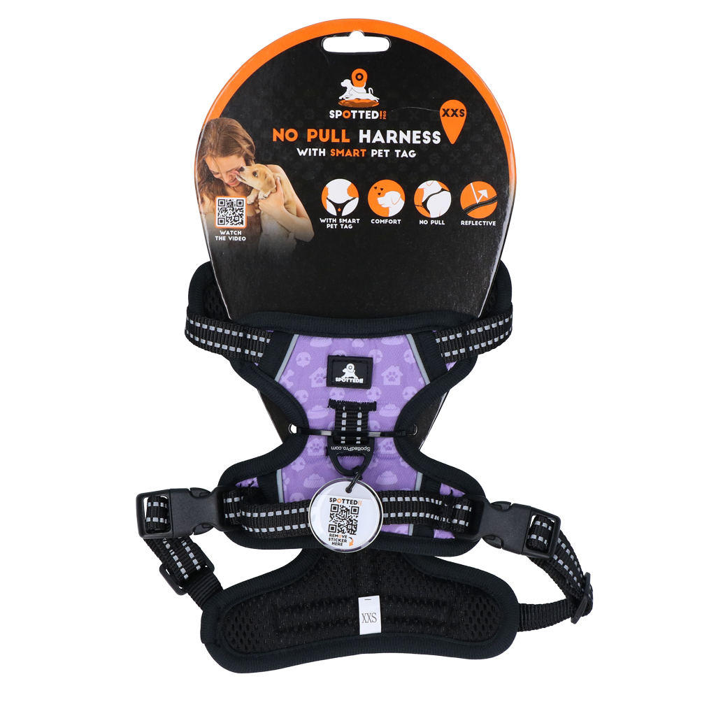 Spotted! PRO Geschirr Lila XXS – Extra kleines Hundegeschirr für Welpen & Mini-Rassen *