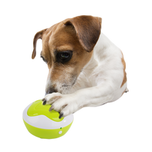 AFP Interactives - Puppy Interpreter *