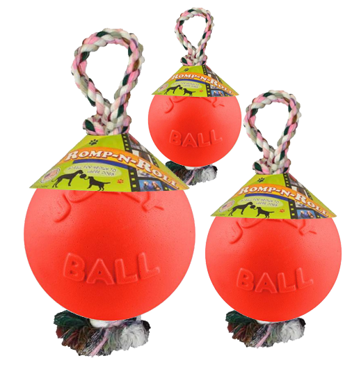 Jolly Ball Romp-n-Roll 20 cm Orange (Vanilleduft) *