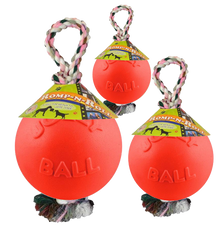 Jolly Ball Romp-n-Roll 20 cm Orange (Vanilleduft) *