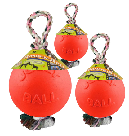 Jolly Ball Romp-n-Roll 20 cm Orange (Vanilleduft) *
