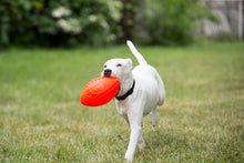 Jolly Football Orange (Vanilleduft) 20 x 12 cm *