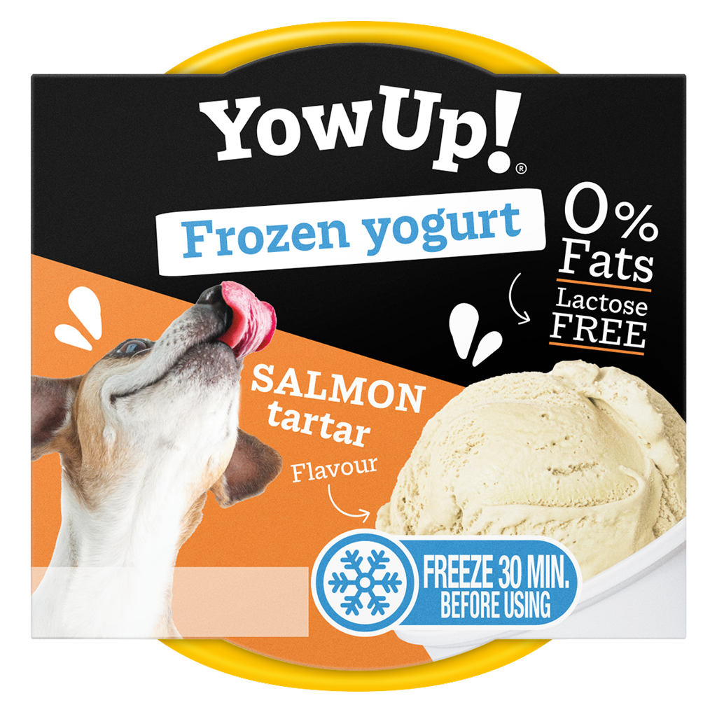 YowUp Ice Cream Yogurt SALMON TARTAR 110g *