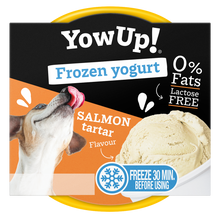YowUp Ice Cream Yogurt SALMON TARTAR 110g *