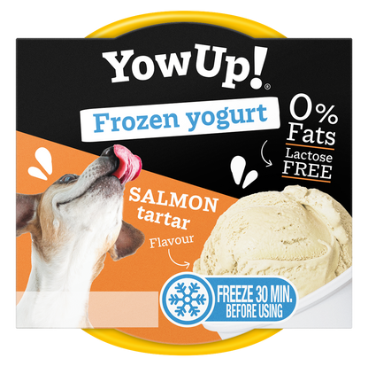 YowUp Ice Cream Yogurt SALMON TARTAR 110g *