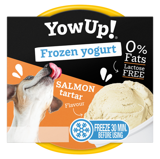 YowUp Ice Cream Yogurt SALMON TARTAR 110g *