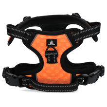 Spotted! PRO Geschirr Orange XL – Starkes & stabiles Hundegeschirr für große Hunde *