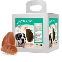 Dental Ears Medium *