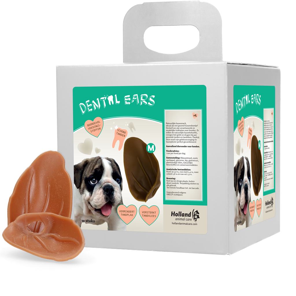 Dental Ears Medium *