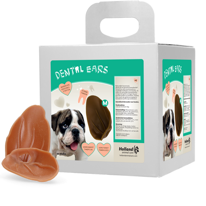 Dental Ears Medium *