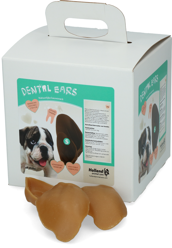 Dental Ears Small *