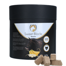 Sweet Banana Blocks – Natürliche Banane als Pferdesnack *