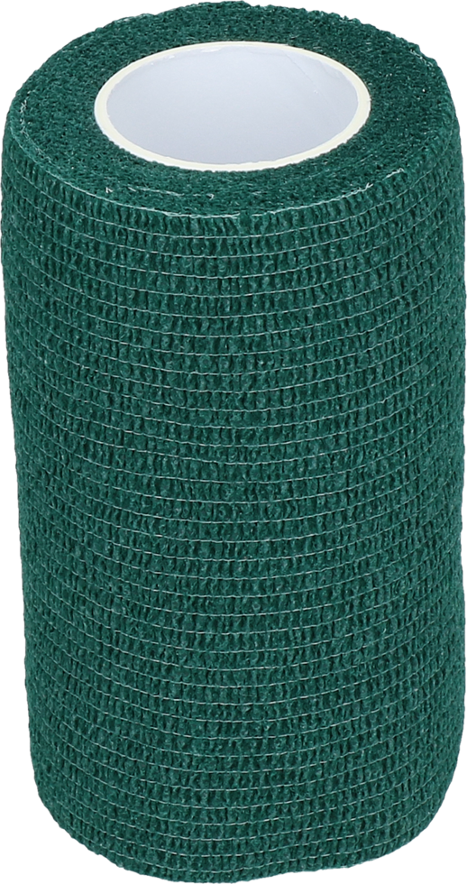 Verbandsbandage Grün Profi Plus 10 cm