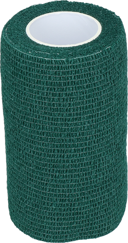 Verbandsbandage Grün Profi Plus 10 cm