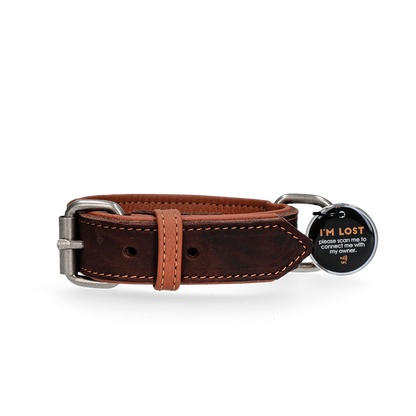Spotted! Pro Lederhalsband Braun 2,5x40cm *