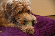 Dog Comets Glow in the Dark Moon Pink S *