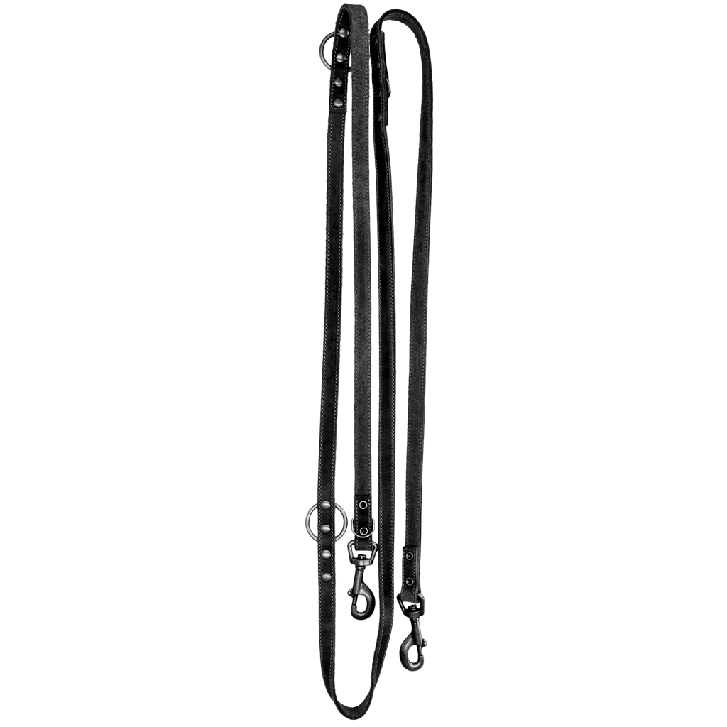 Spotted! Pro Leder Trainingsleine Schwarz 2x250cm *