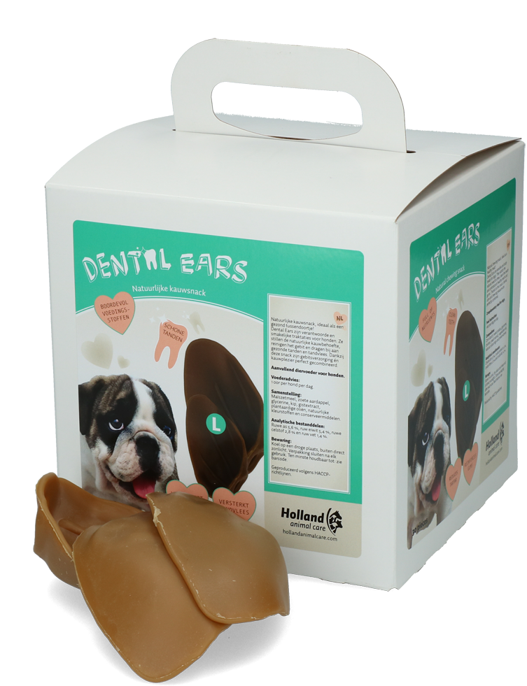 Dental Ears Large *