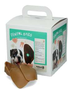 Dental Ears Large *