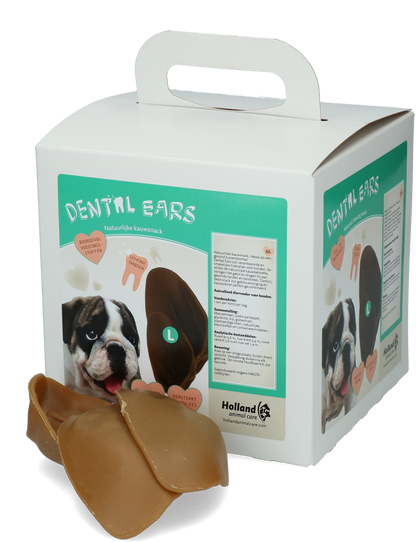 Dental Ears Large *