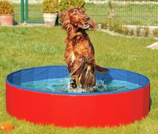 Karlie DOGGY POOL der Swimmingpool für Hunde - Rot-Blau *