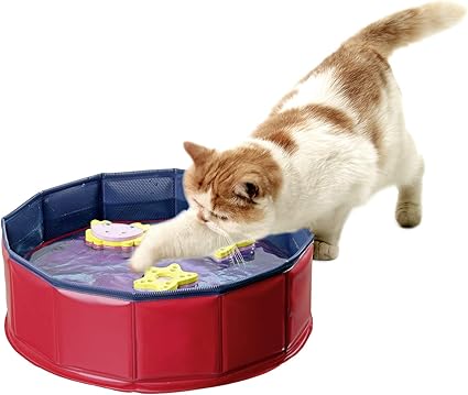 Karlie Kitty Pool *