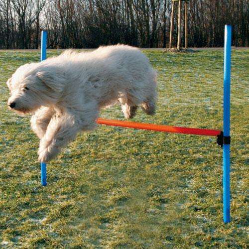 Trixie Agility Hürde *