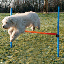 Trixie Agility Hürde *