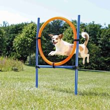 Trixie Agility Ring *