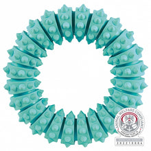 Trixie Denta Fun Ring mit Minzgeschmack *