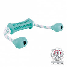 Trixie Denta Fun Stick mit Seil *
