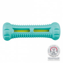 Trixie Denta Fun Stick mit Minzgeschmack *